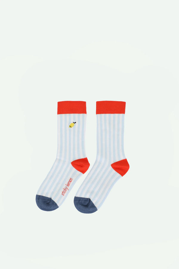 Sosete  - cu dungi albastre - Zissou - Sticky Lemon